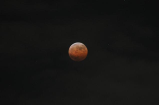 Illustration for article titled Today's Lunar Eclipse Looked Spectacular